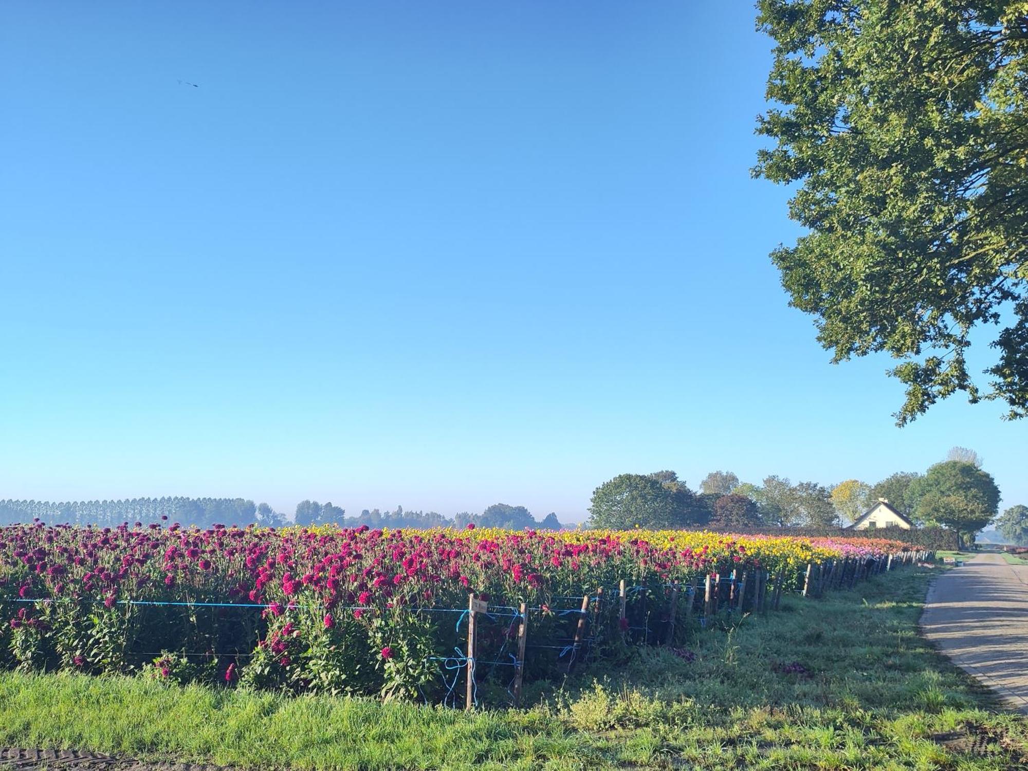 Bed and Breakfast 'T Voske Zundert Exterior foto