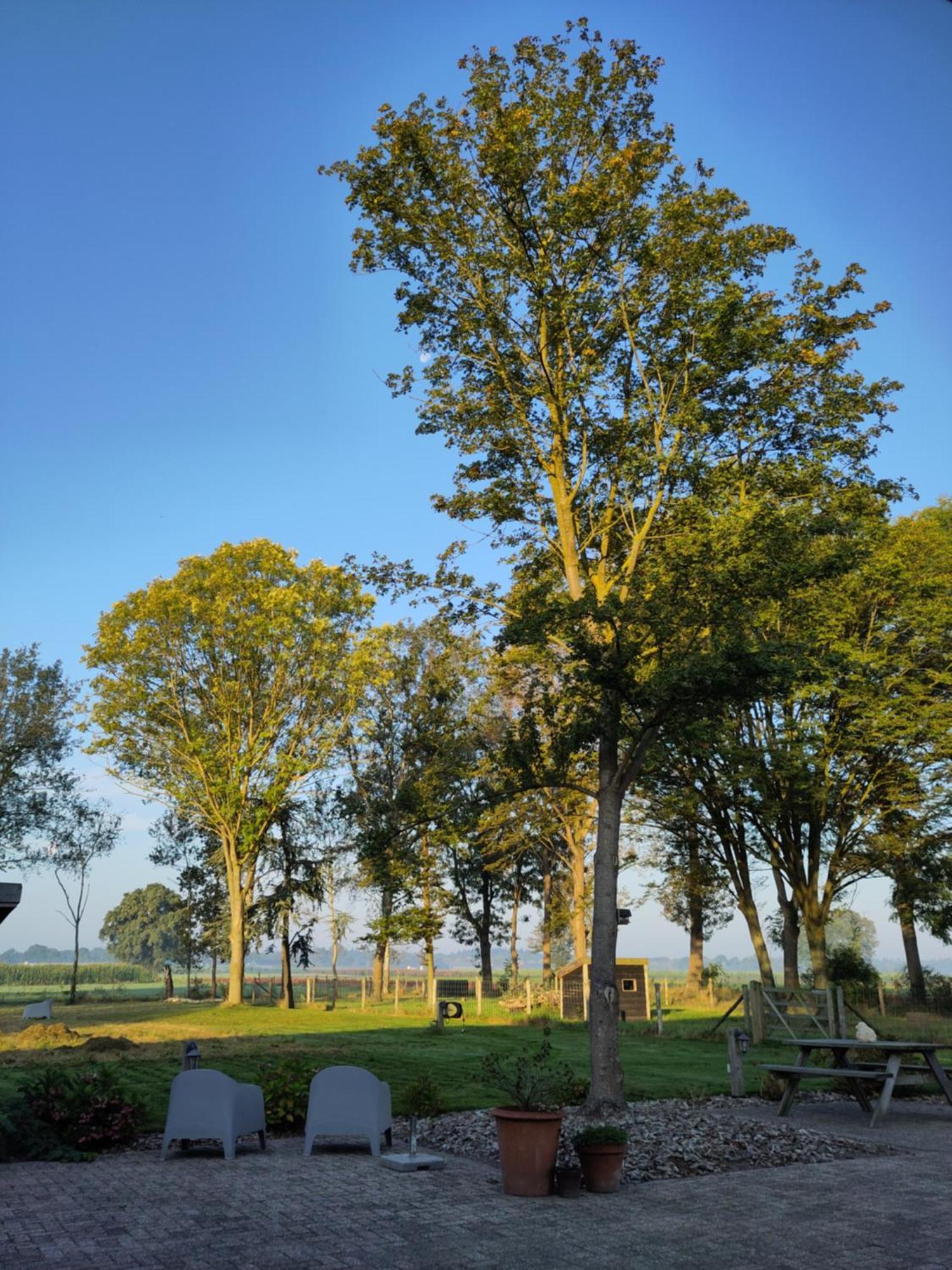 Bed and Breakfast 'T Voske Zundert Exterior foto
